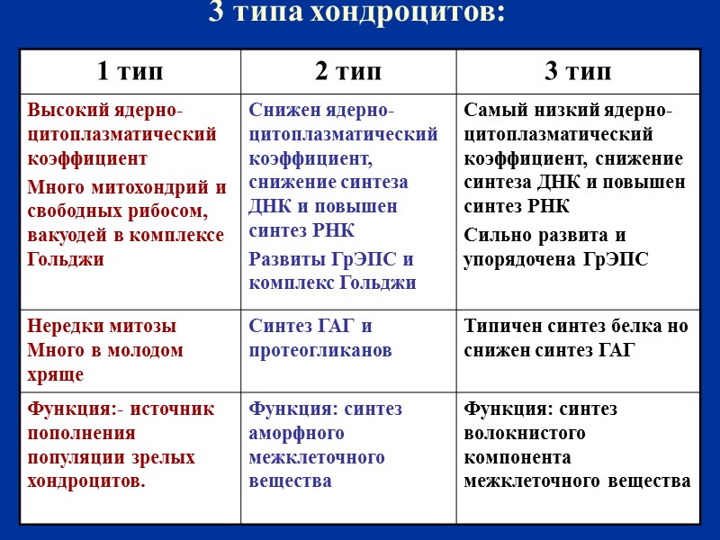 3 типа хондроцитов: